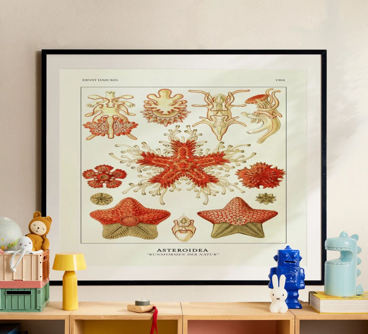 Haeckel - Asteroidea poster de ARTOTHEK