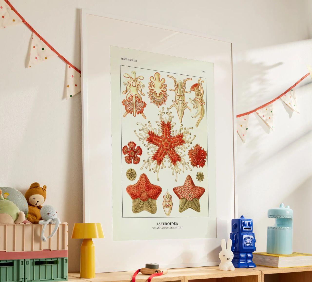 Haeckel - Asteroidea poster de ARTOTHEK