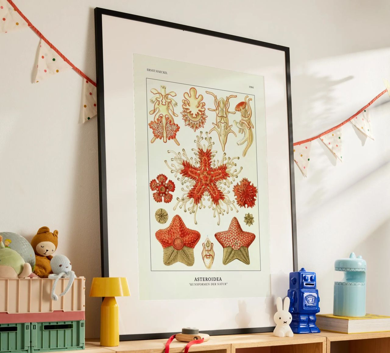 Haeckel - Asteroidea poster de ARTOTHEK
