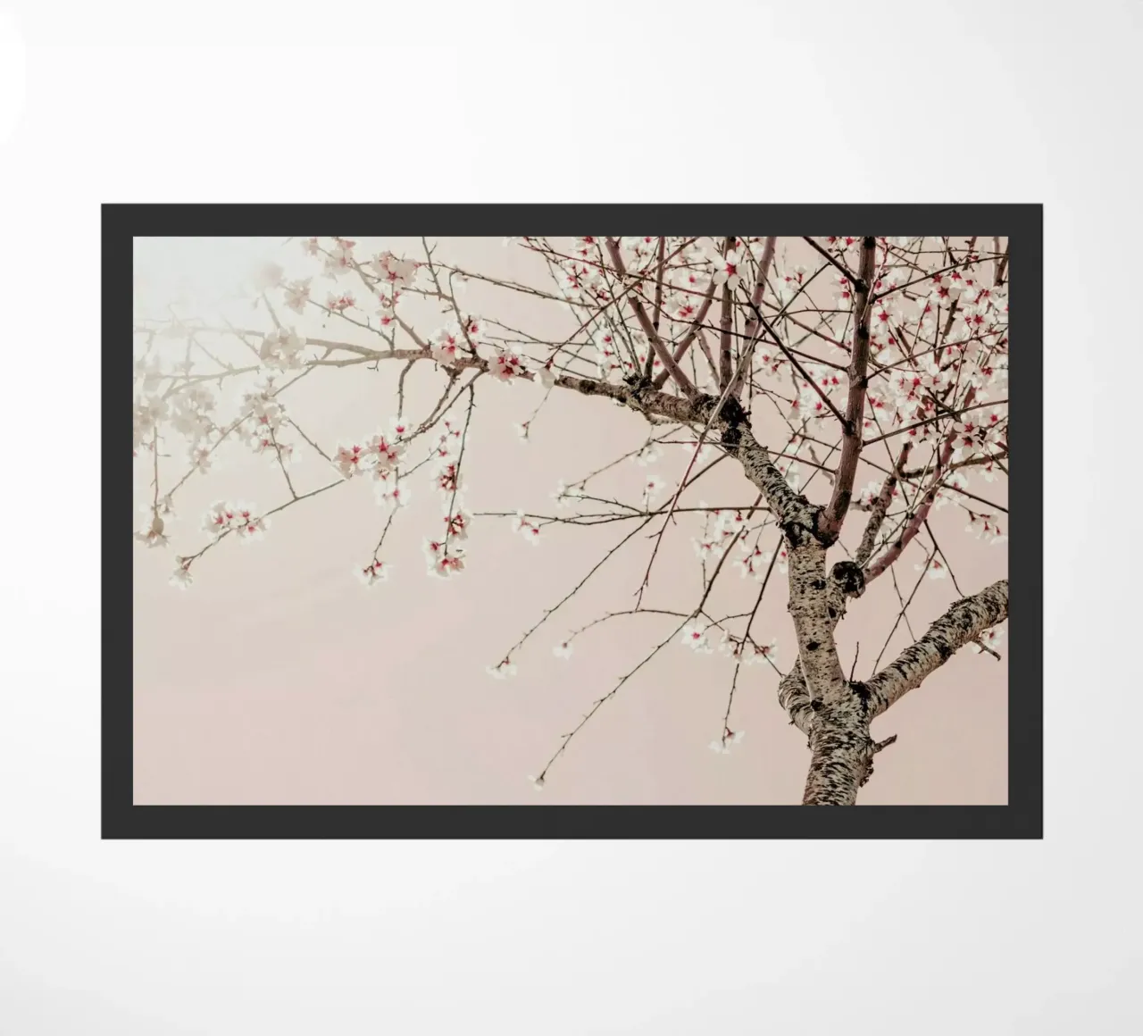 Albero Primavera in fiore zerbino da Ingrid Beddoes