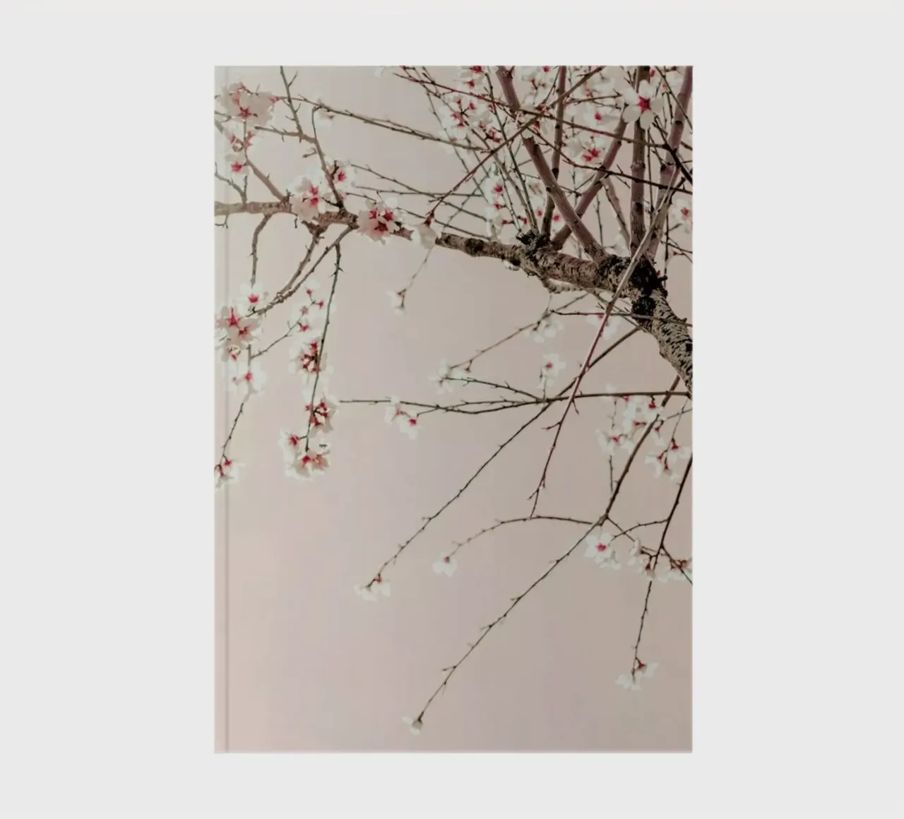 Tree Spring Blossoms notebook by Ingrid Beddoes
