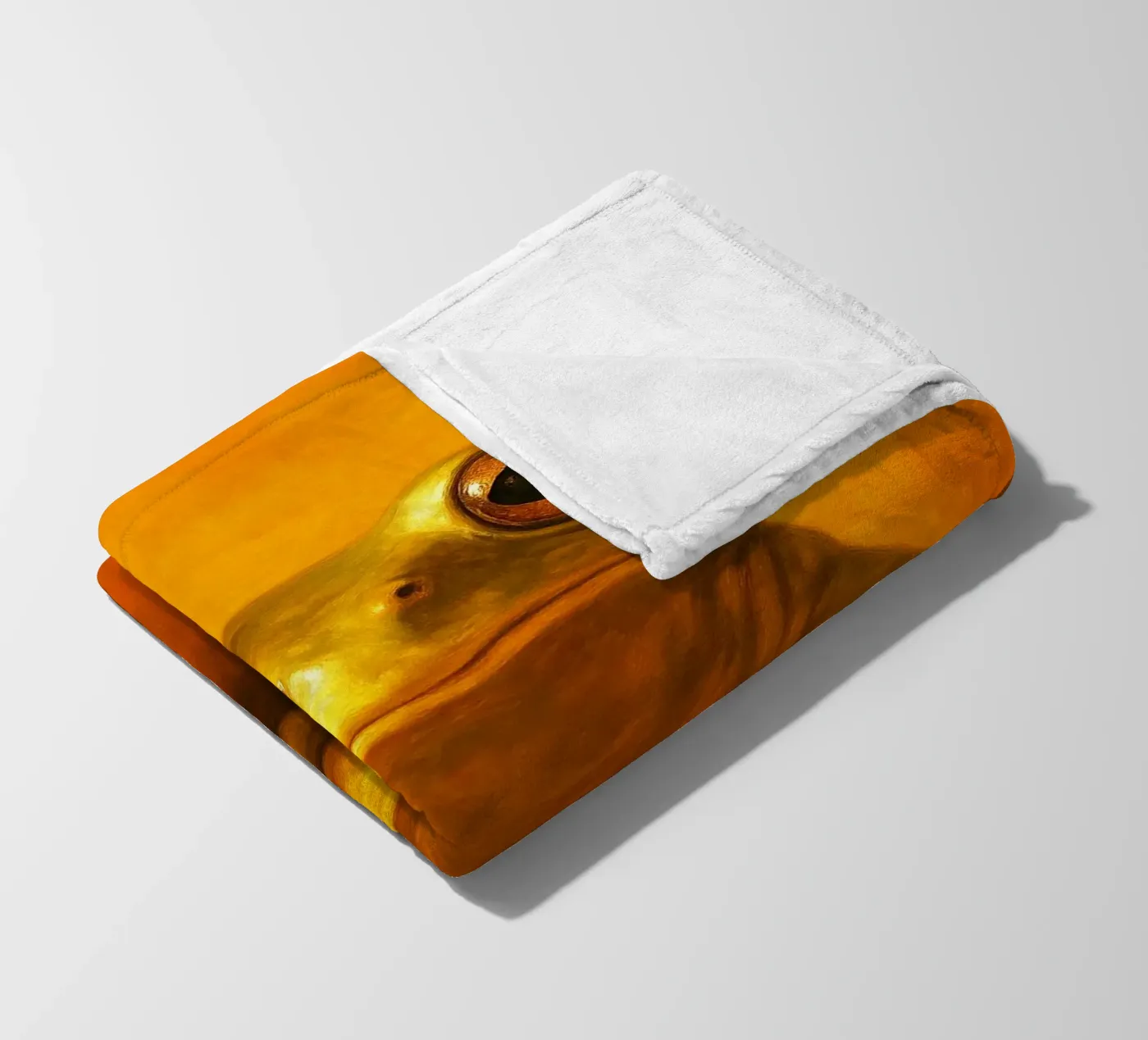 Silly Grumpy Frog fleece blanket by Rawdenox