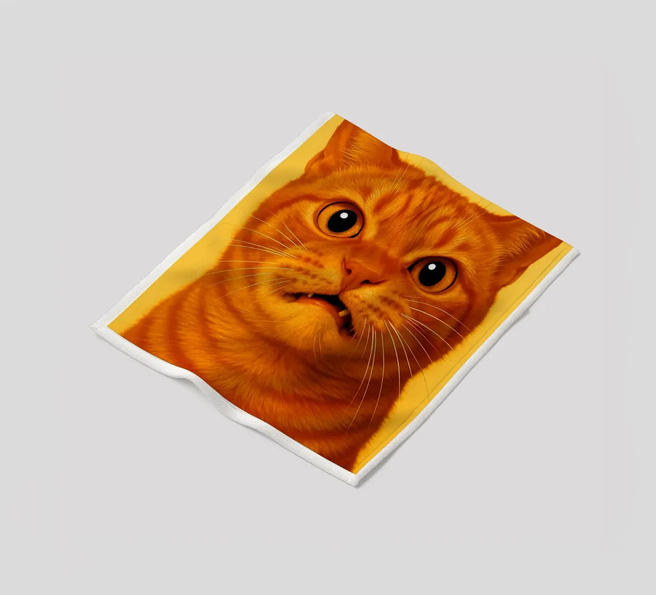 Ancora un gatto divertente coperta in pile da Rawdenox