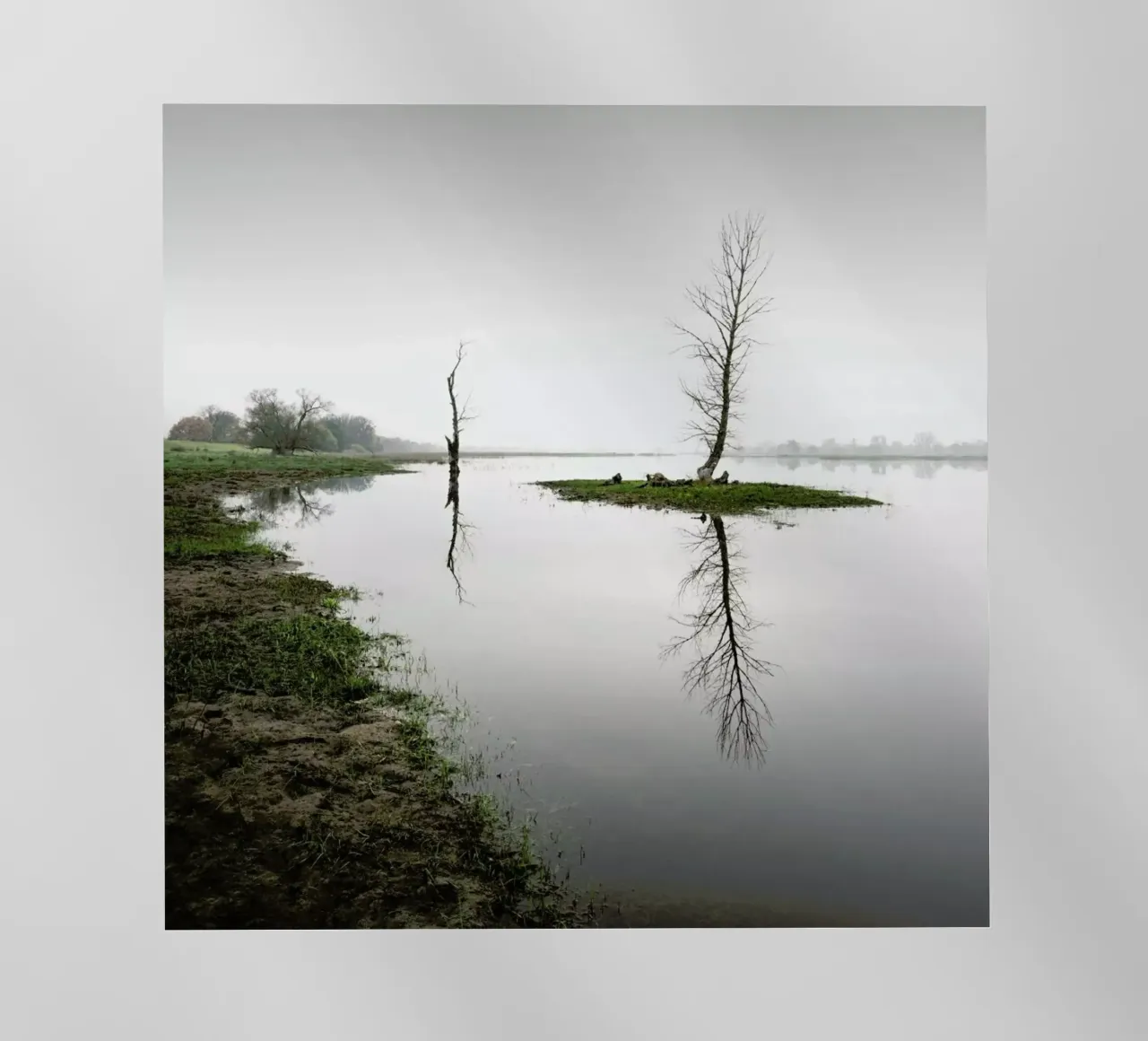 Oderbruch | Brandenburg 2020 pellicola backlit da Håggard Photography | Ronny Behnert