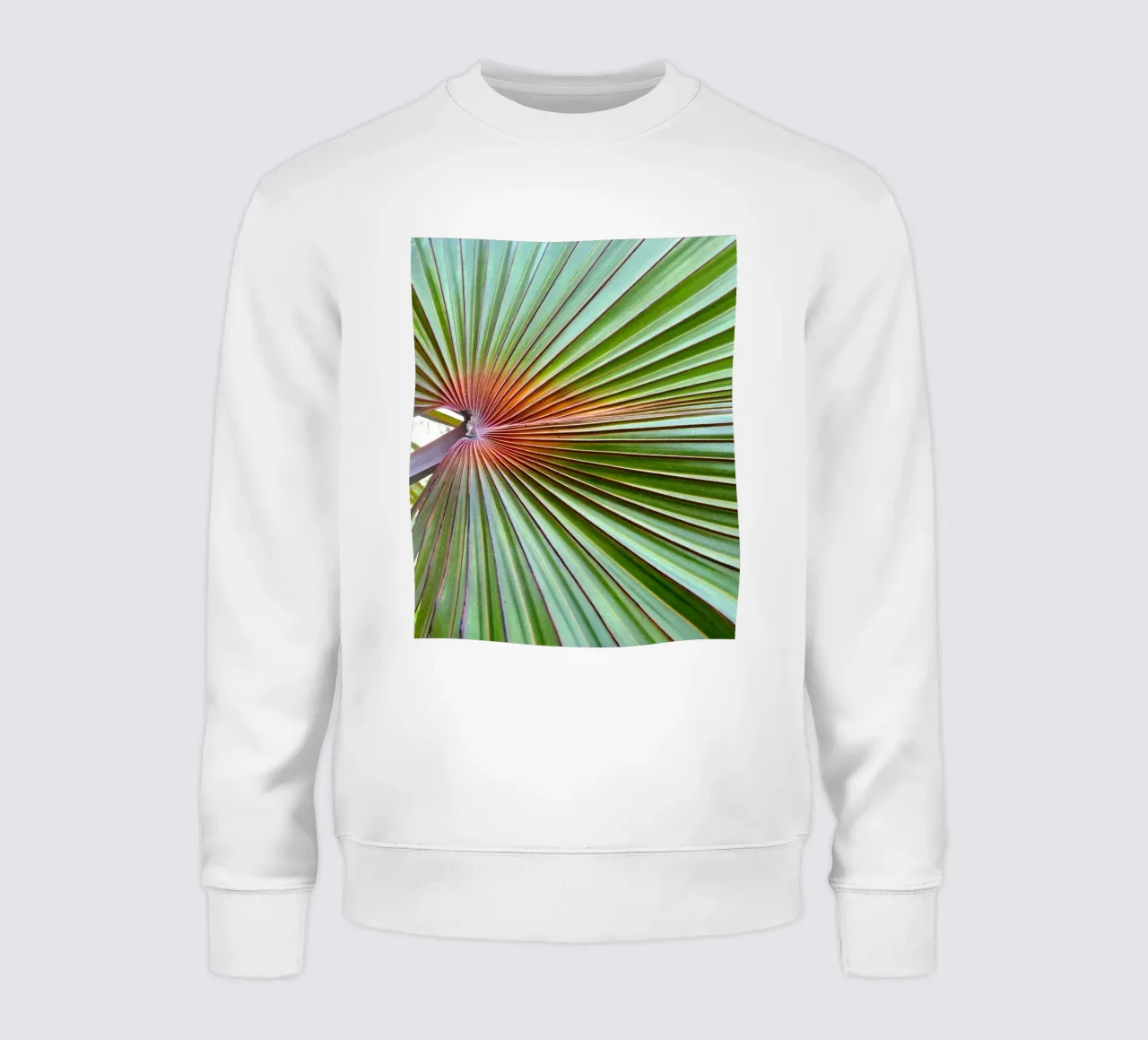 Palma felpa da 83oranges