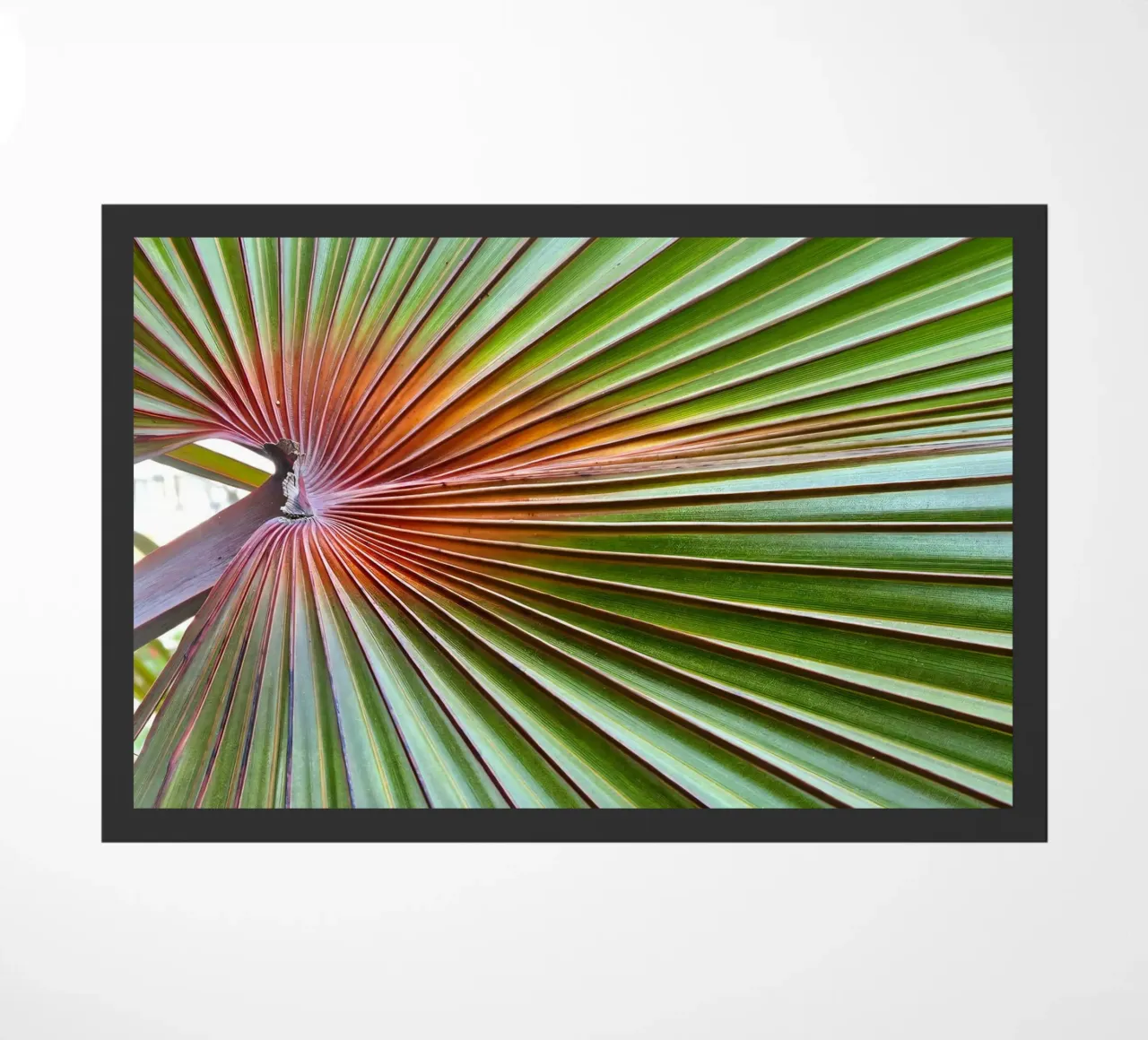 Palma zerbino da 83oranges.com