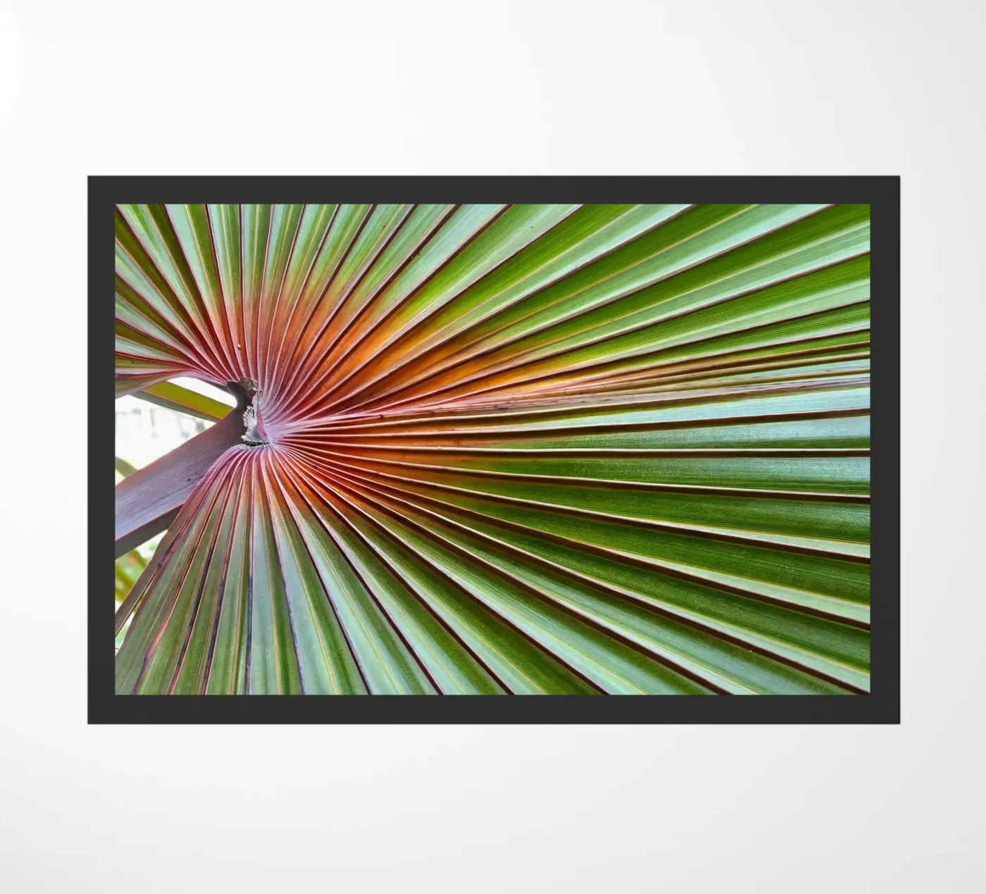 Palma deurmat van 83oranges.com