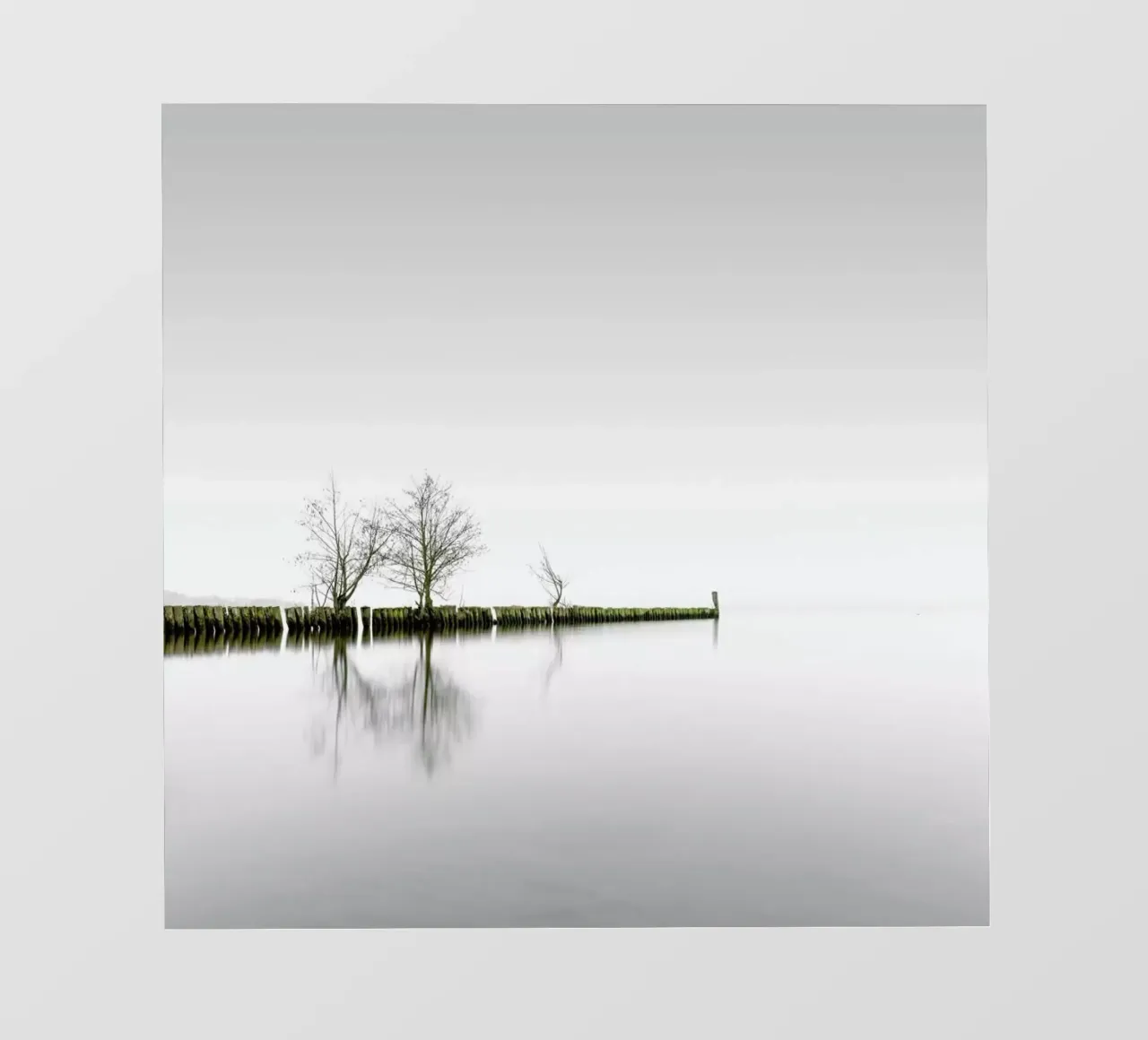 Distant On A Solitary Day | Schwielowsee 2021 pellicola backlit da Håggard Photography | Ronny Behnert