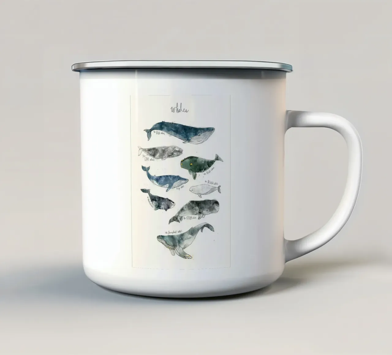 megattera creature dell'oceano amy hamilton tazza in smalto da kbm store