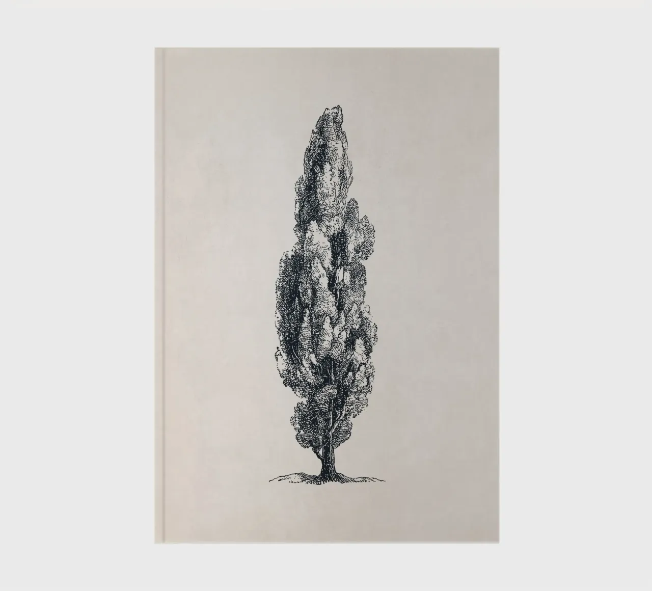 Tuscany Cypress Tree Sketch diario da apoloprints