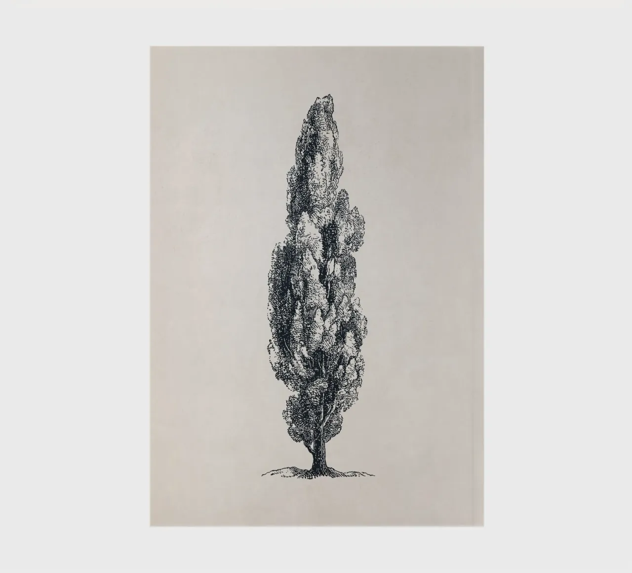 Tuscany Cypress Tree Sketch notebook by apoloprints