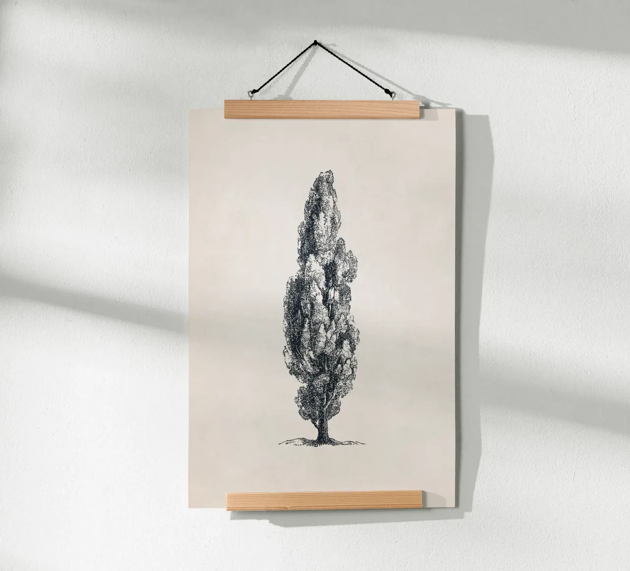 Tuscany Cypress Tree Sketch carta hahnemühle da apoloprints