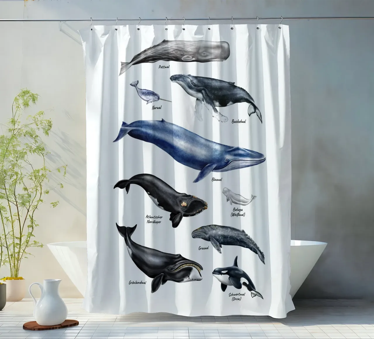 Wale & Delfine Nr.01 • Arten entdecken Lernbild Illustration tenda da doccia da Moonlit Illustrations