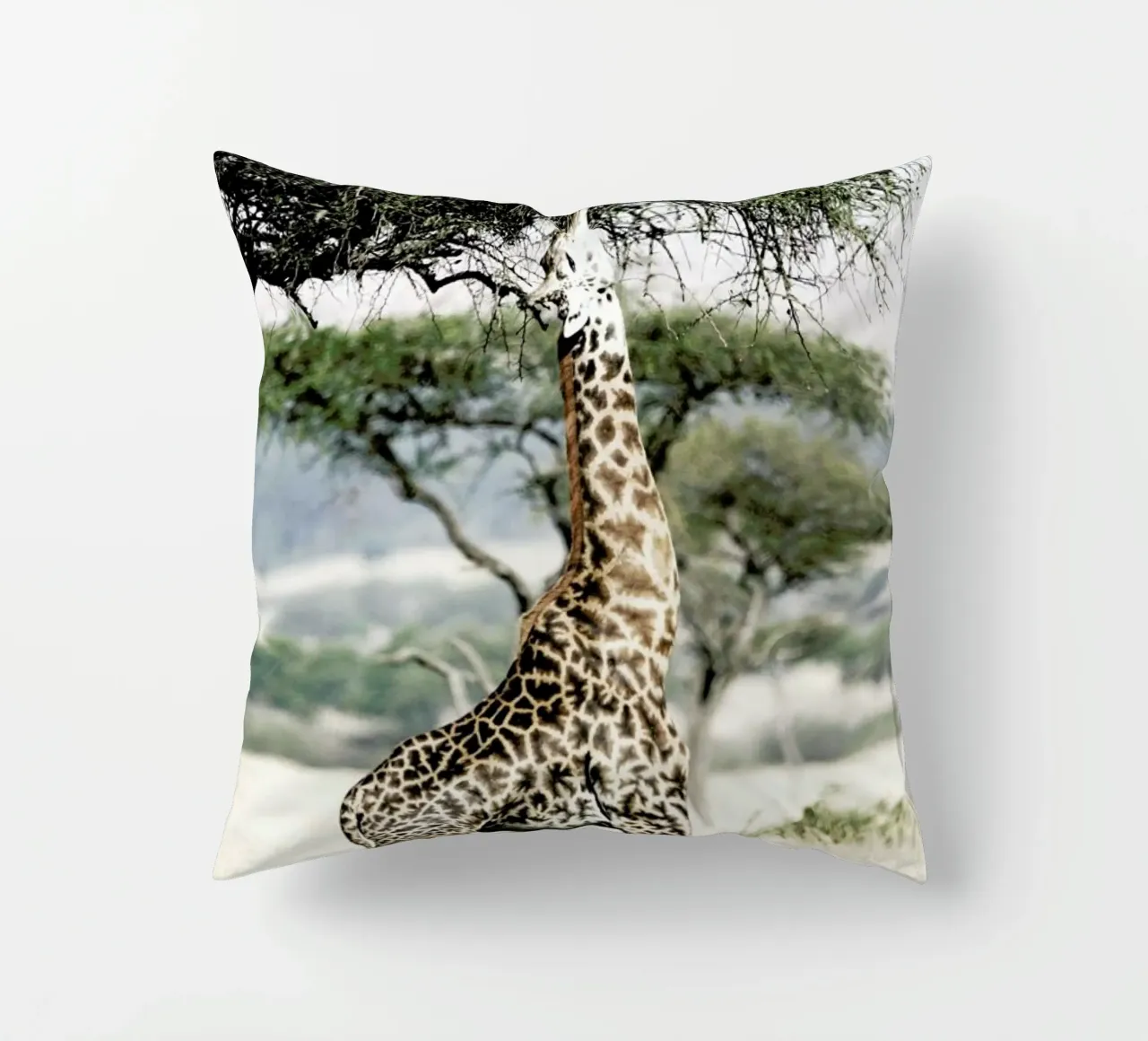 Stretch cuscino da Shot By Clint