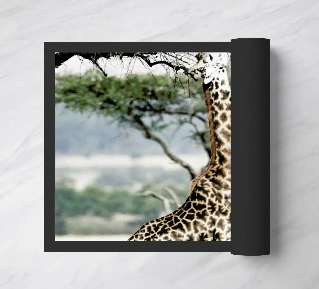 Stretch zerbino da Shot By Clint