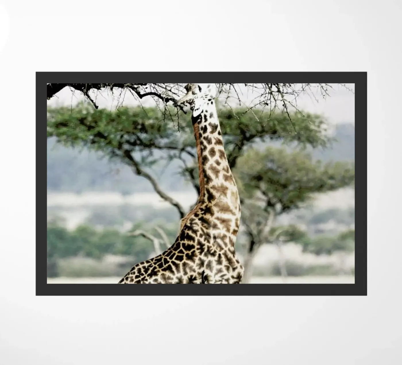 Stretch deurmat van Shot By Clint