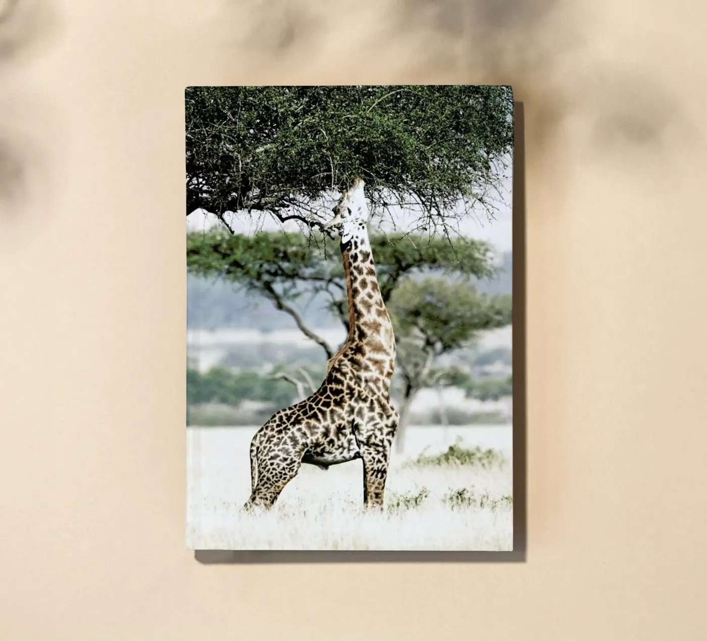 Stretch notebook by Shot By Clint