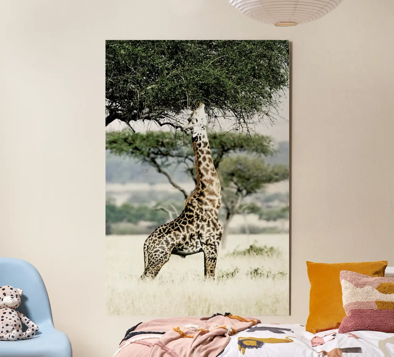 Stretch forex plate by Shot By Clint