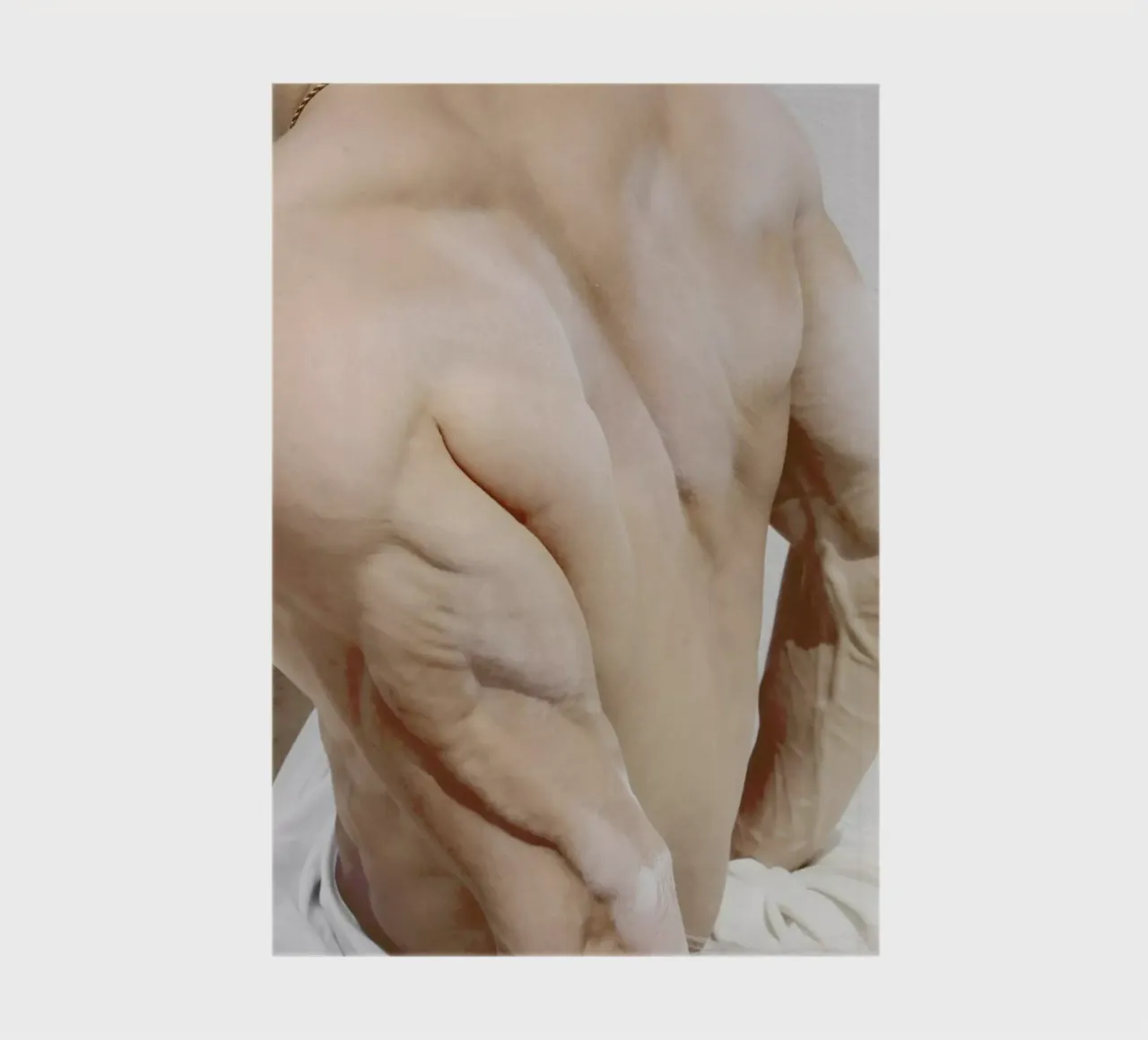 Veins notebook by George Griefy