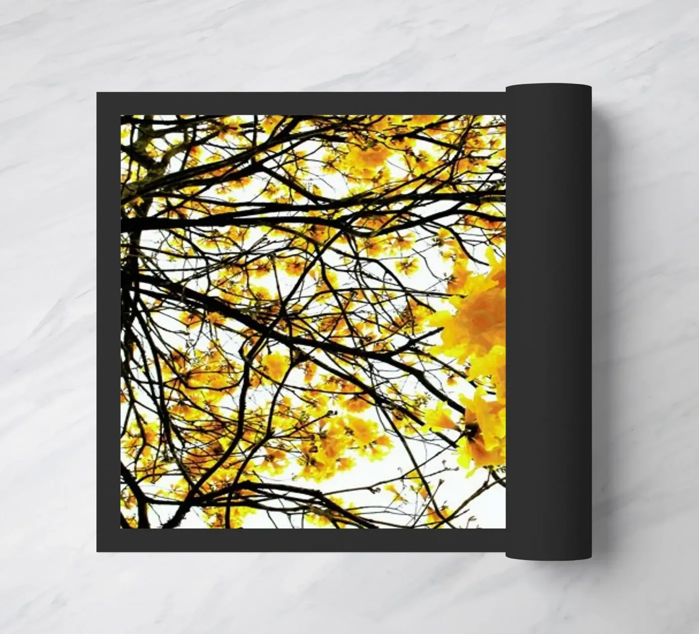 Summer zerbino da Shot By Clint