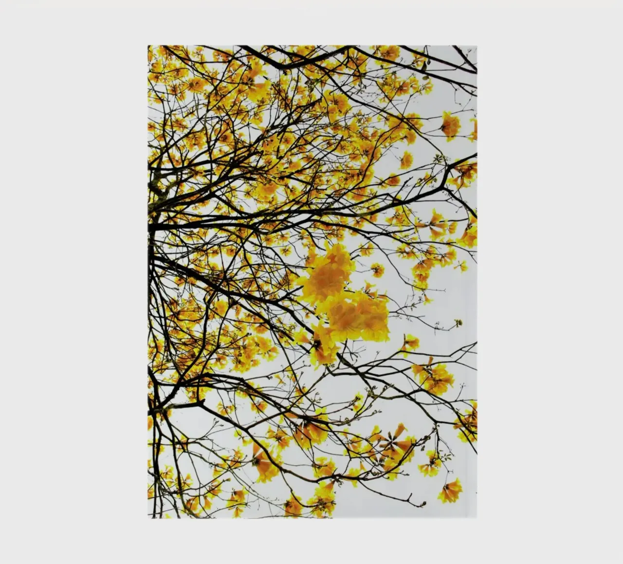 Summer notebook by Shot By Clint