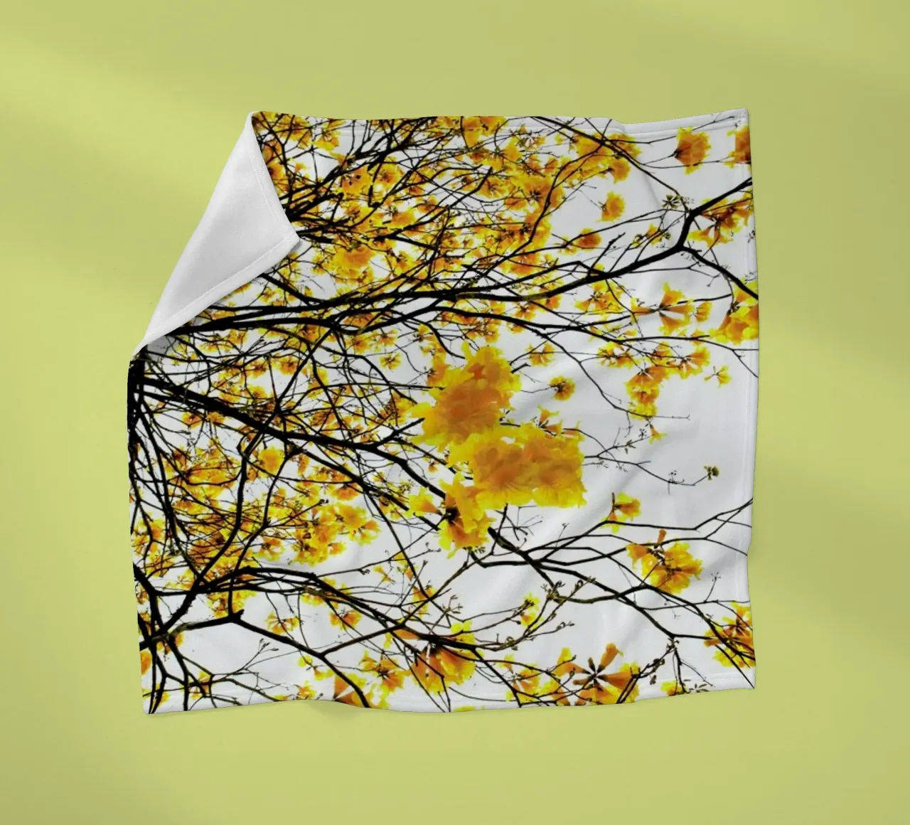 Summer fleece blanket by Shot By Clint