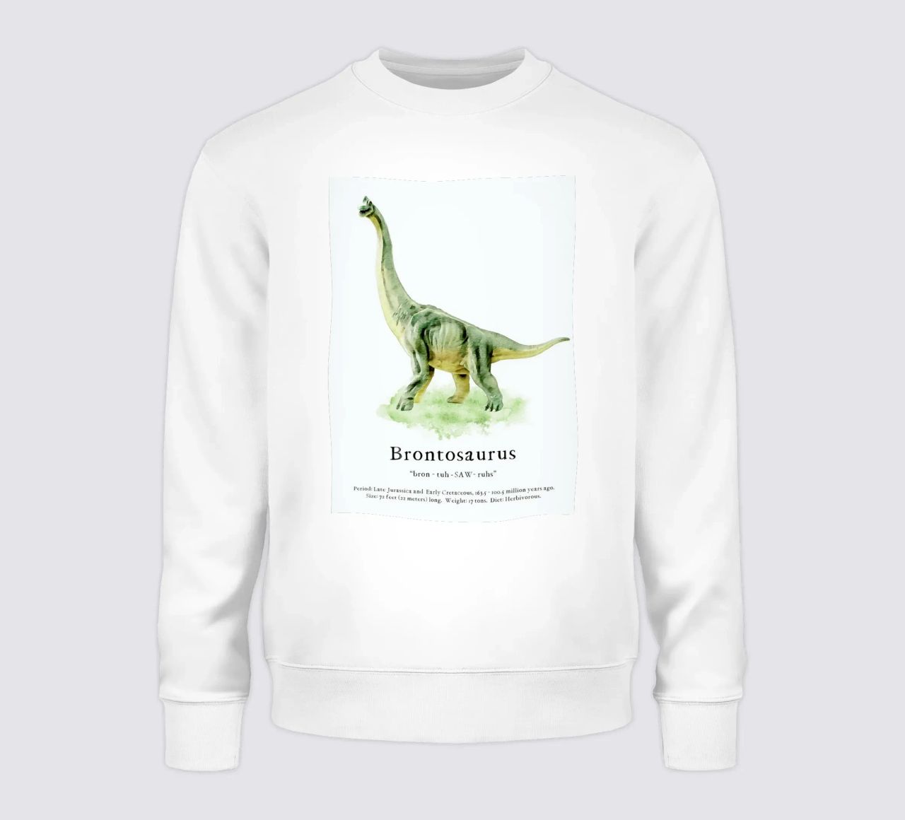 Brontosaurus sudadera de Lila x Lola