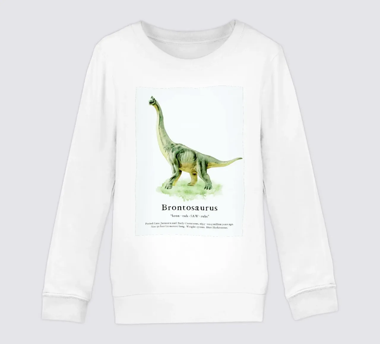 Brontosaurus kids sweatshirt by Lila x Lola