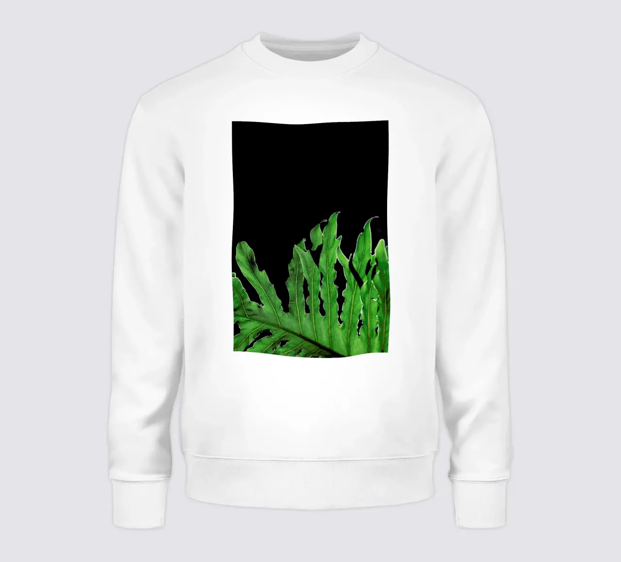 Folium felpa da Shot By Clint