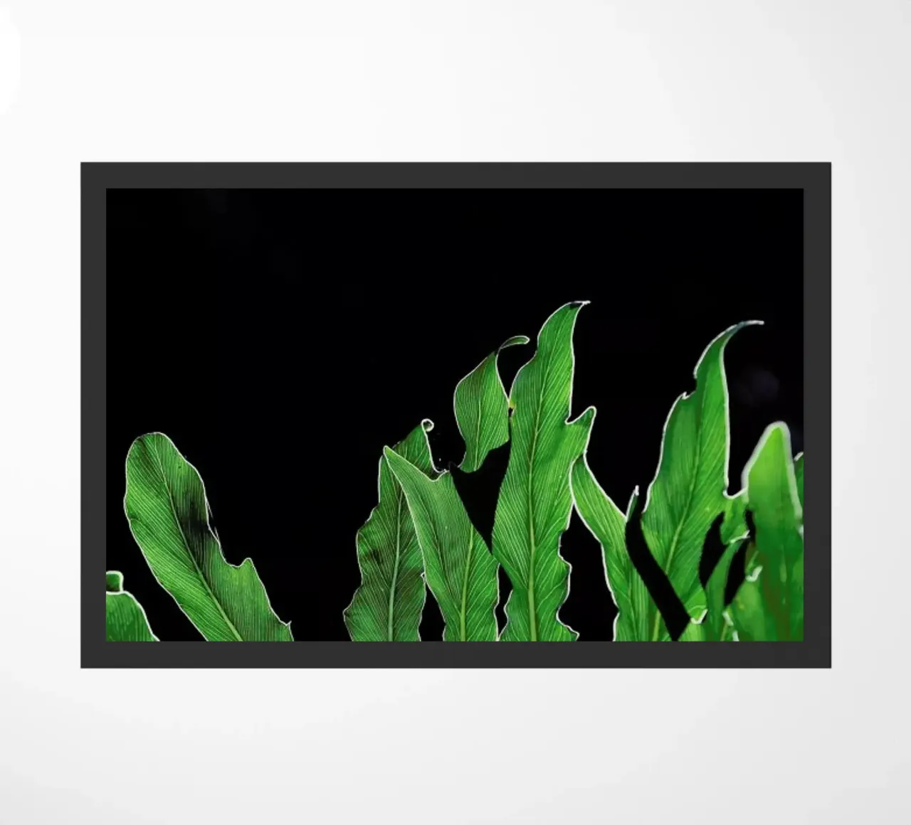 Folium doormat by Shot By Clint