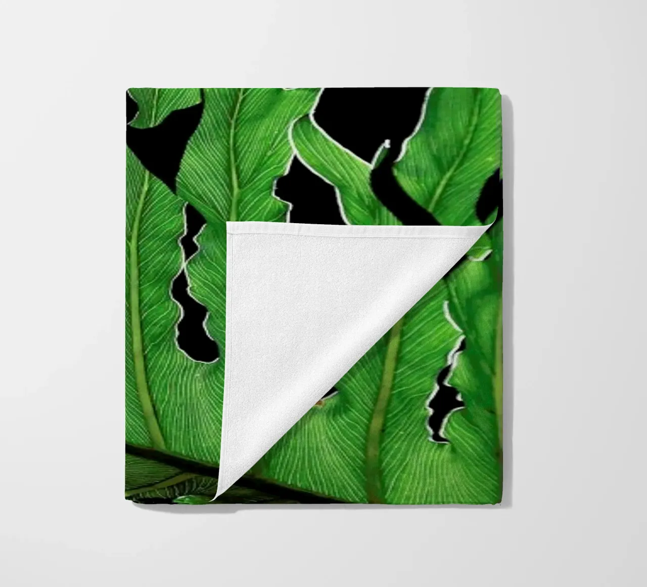 Folium telo mare da Shot By Clint