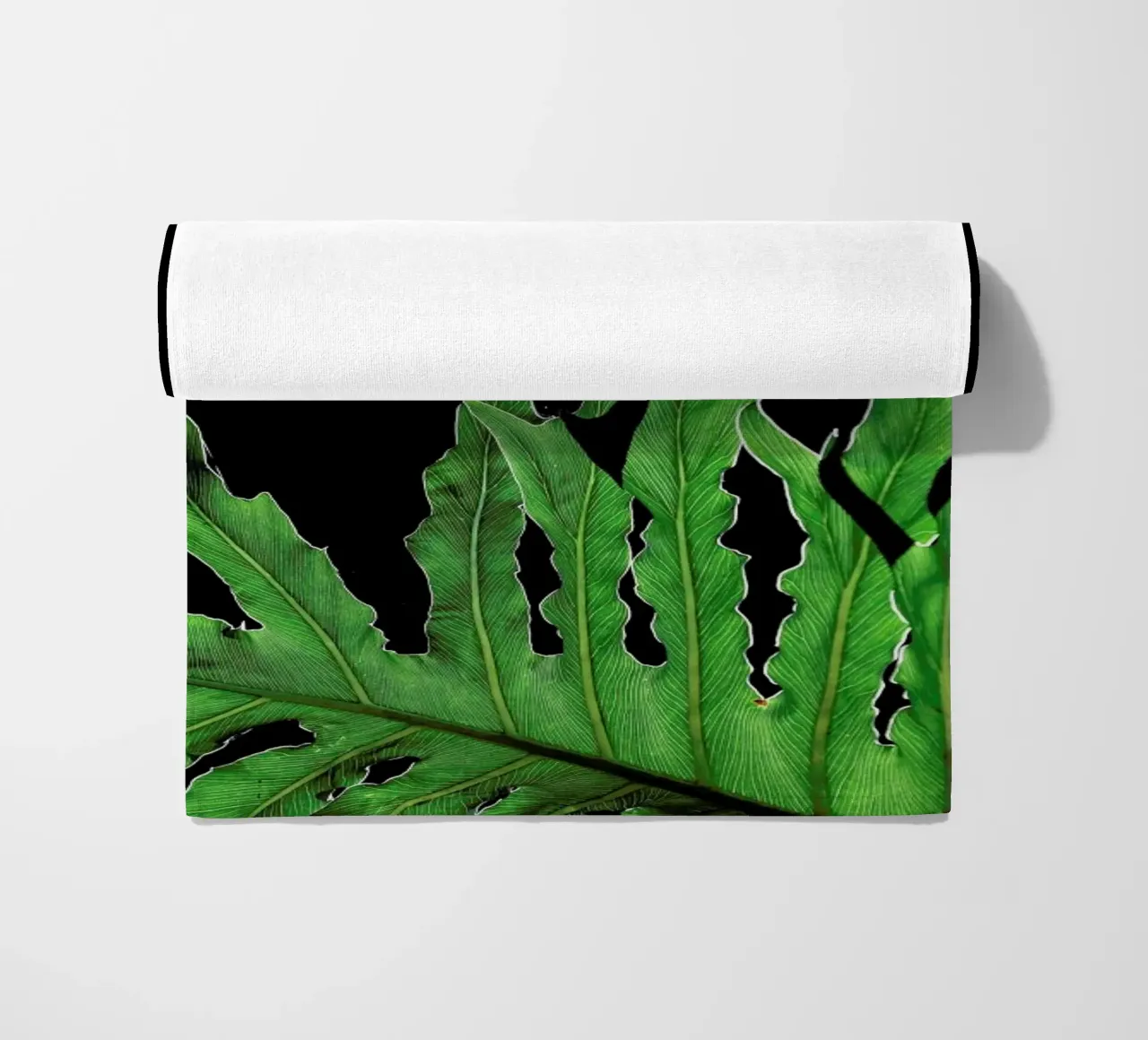 Folium telo mare da Shot By Clint