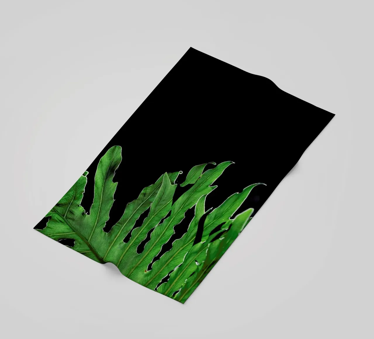 Folium telo mare da Shot By Clint