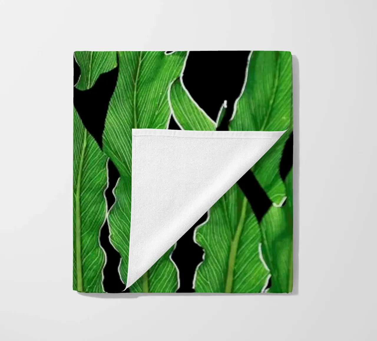 Folium telo mare da Shot By Clint