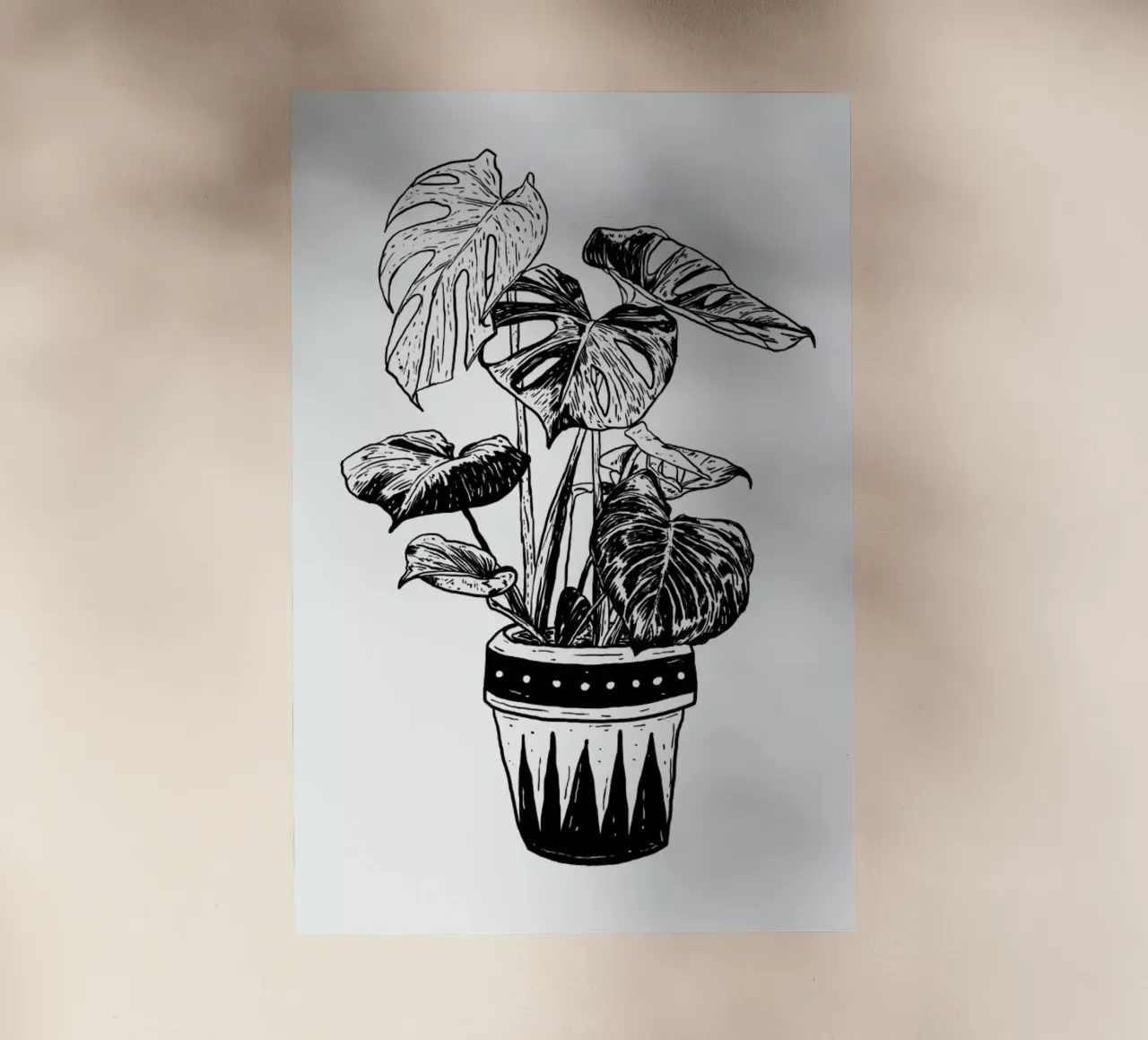 Monstera pellicola backlit da Nick Cocozza