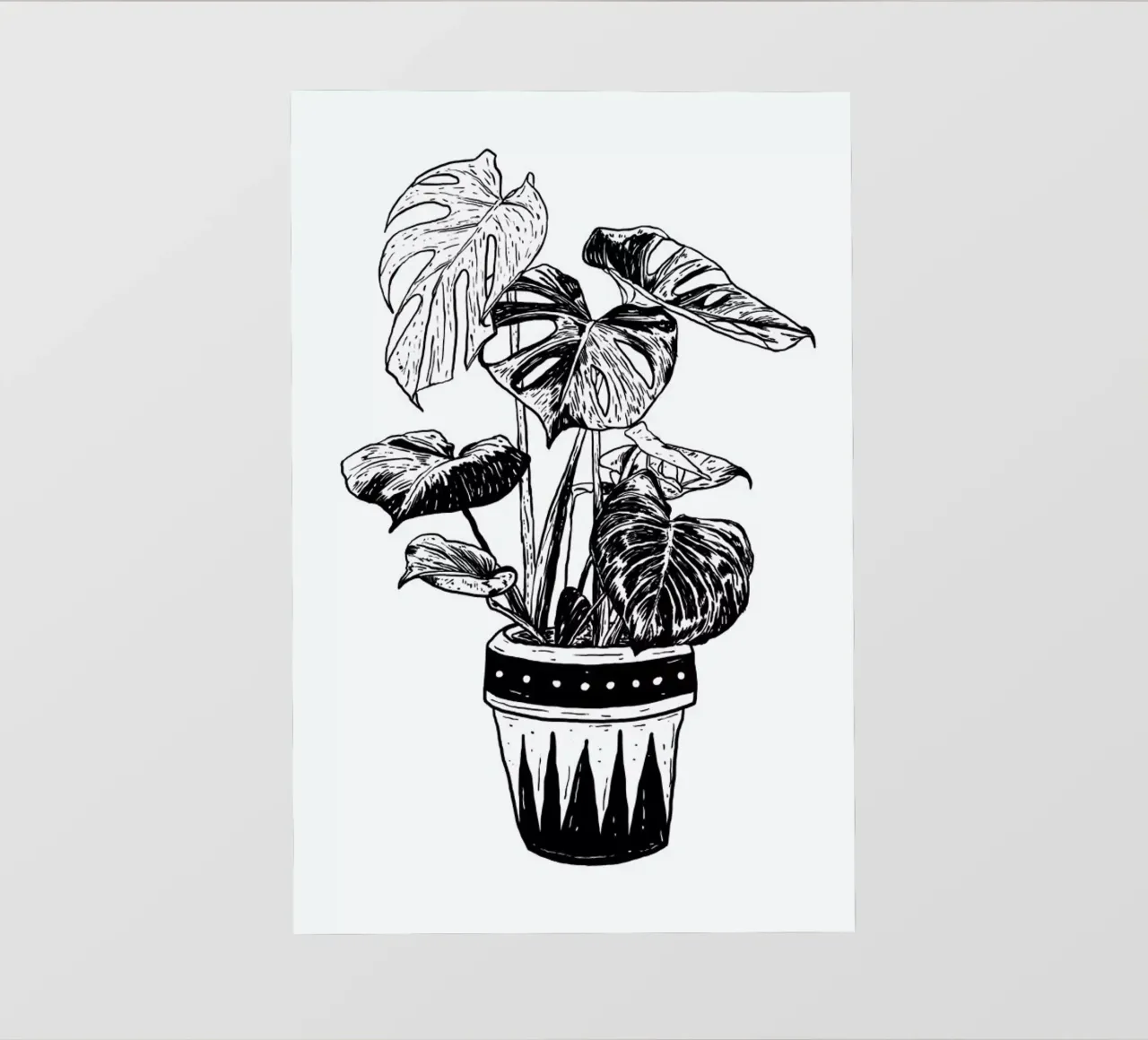 Monstera pellicola backlit da Nick Cocozza