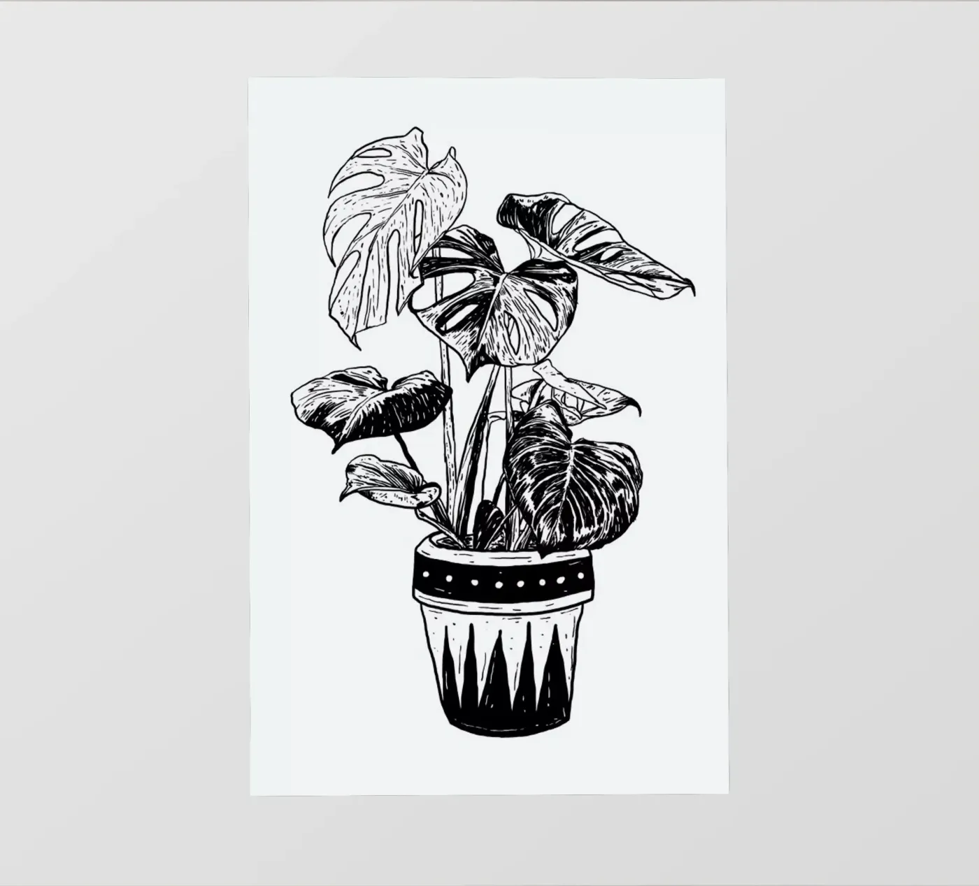 Monstera pellicola backlit da Nick Cocozza
