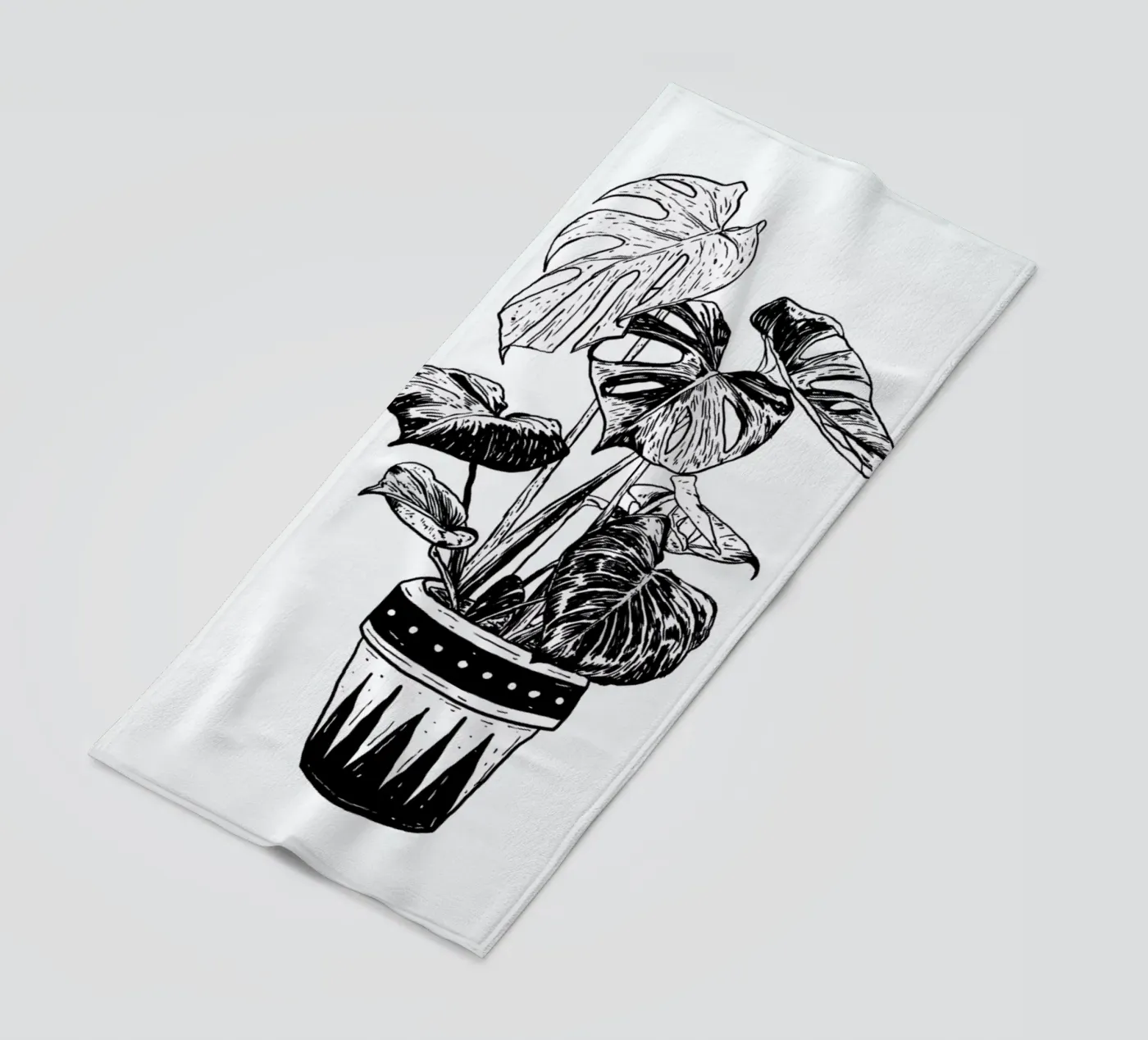 Monstera telo mare da Nick Cocozza