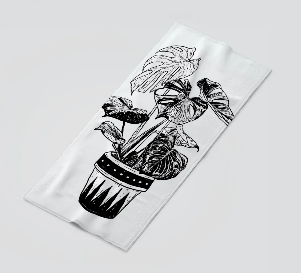 Monstera telo mare da Nick Cocozza