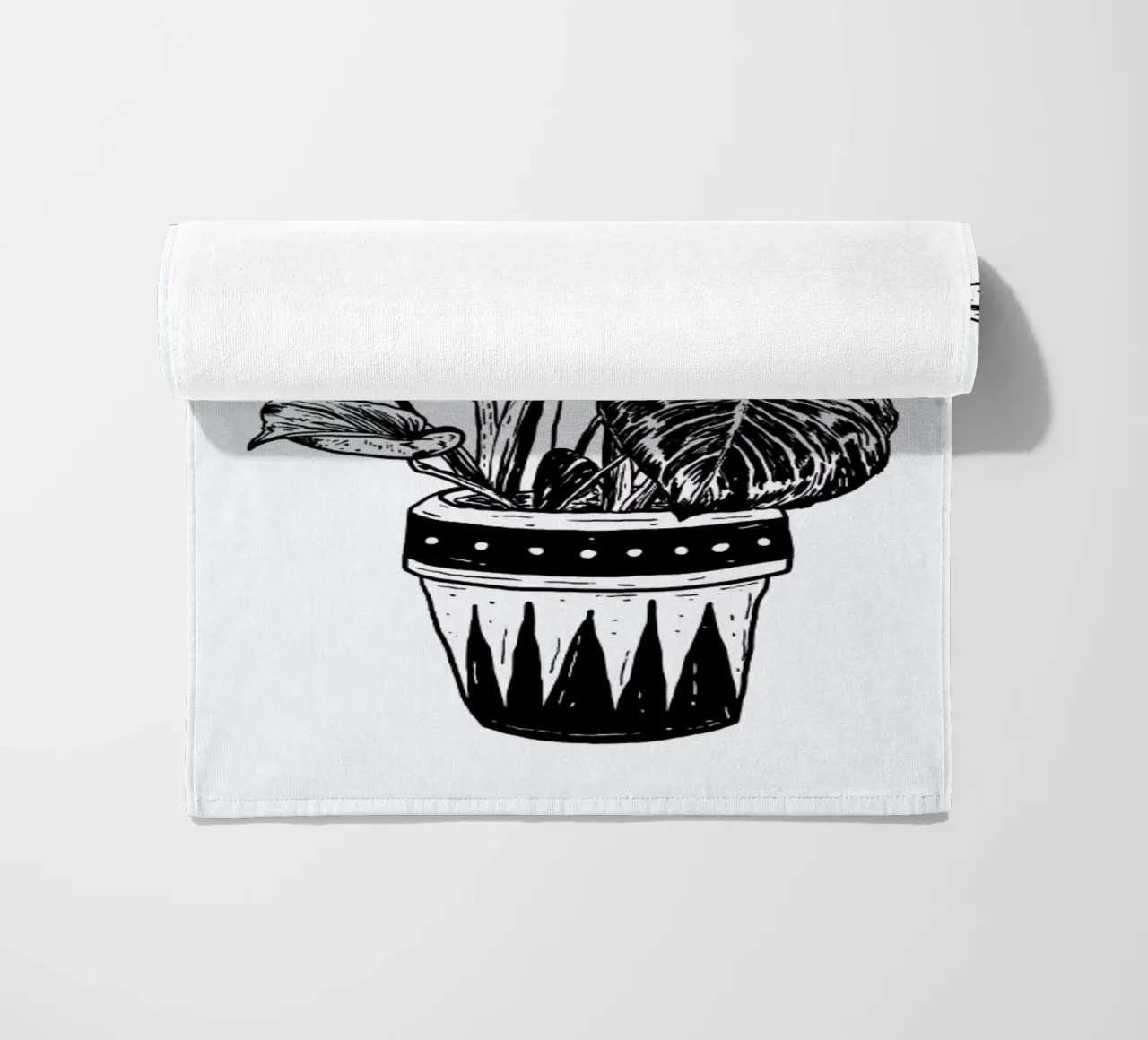 Monstera telo mare da Nick Cocozza