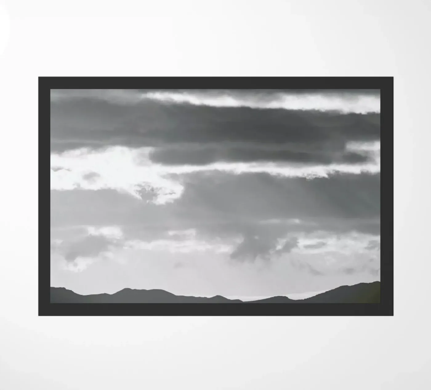 Wild Coast zerbino da Shot By Clint