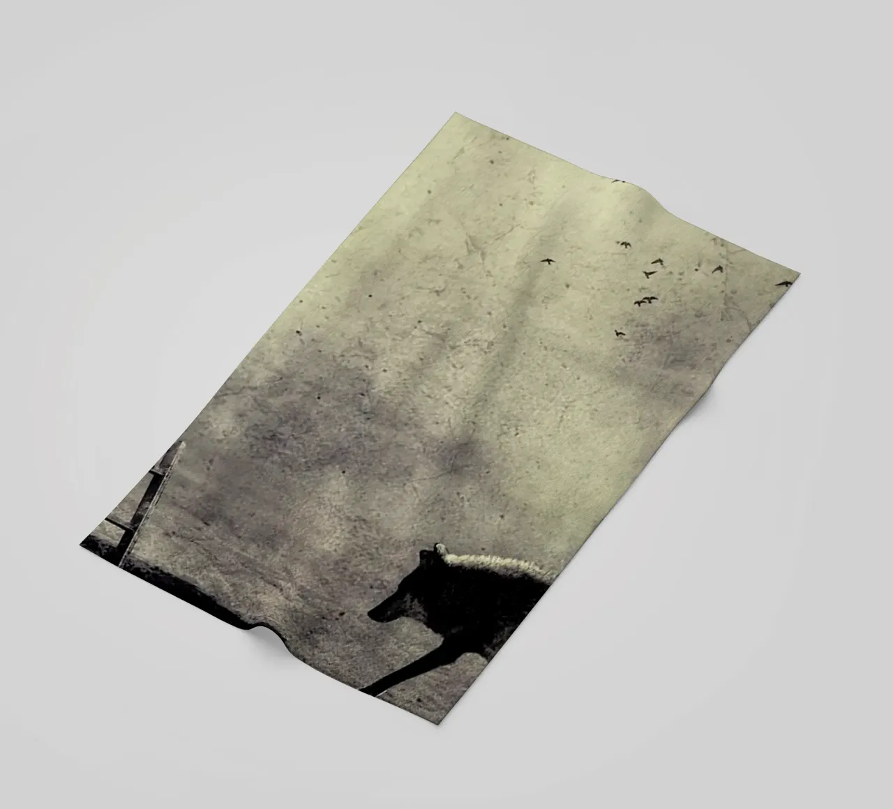 pa 2009-03 telo mare da Sarolta Bán