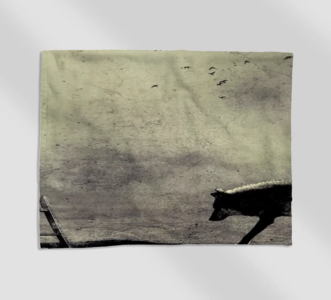 pa 2009-03 telo mare da Sarolta Bán