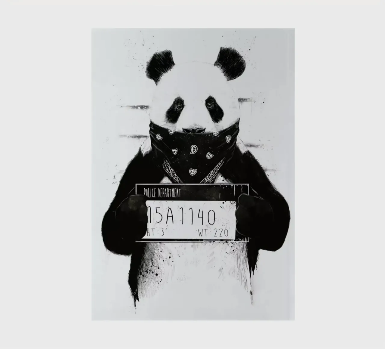 Bad Panda notebook by Balazs Solti