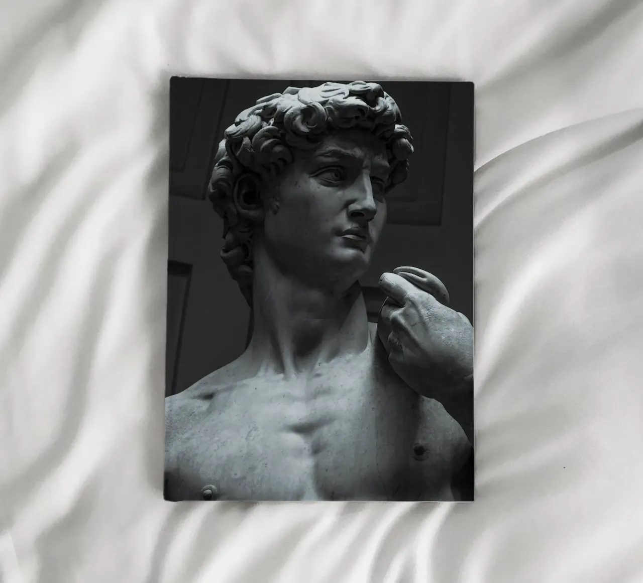 Michelangelo's David Art notebook by Brooke