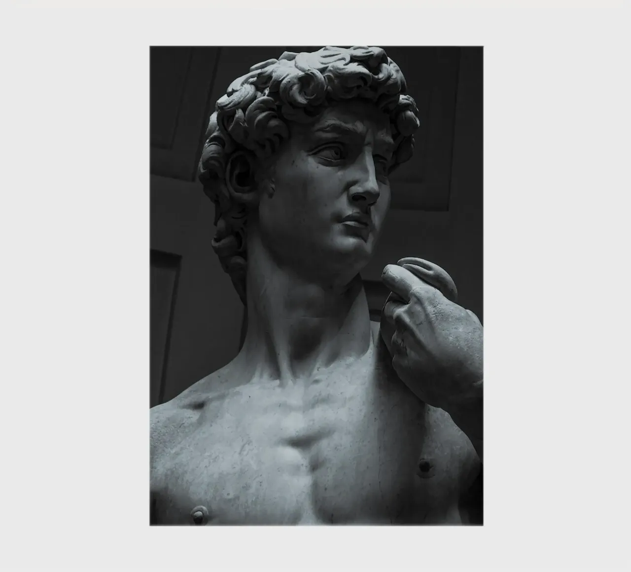 Michelangelo's David Art notebook by Brooke