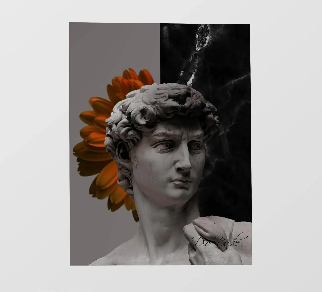 Il David di Michelangelo Arte telo in pvc da Brooke