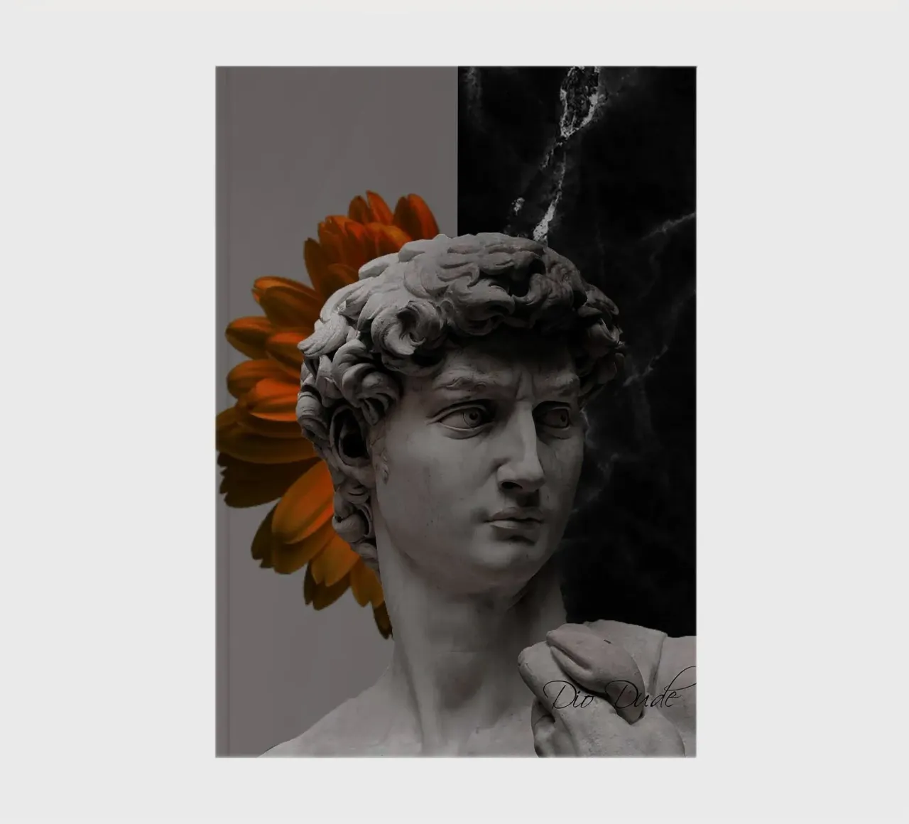 Michelangelo's David Art notebook by Brooke