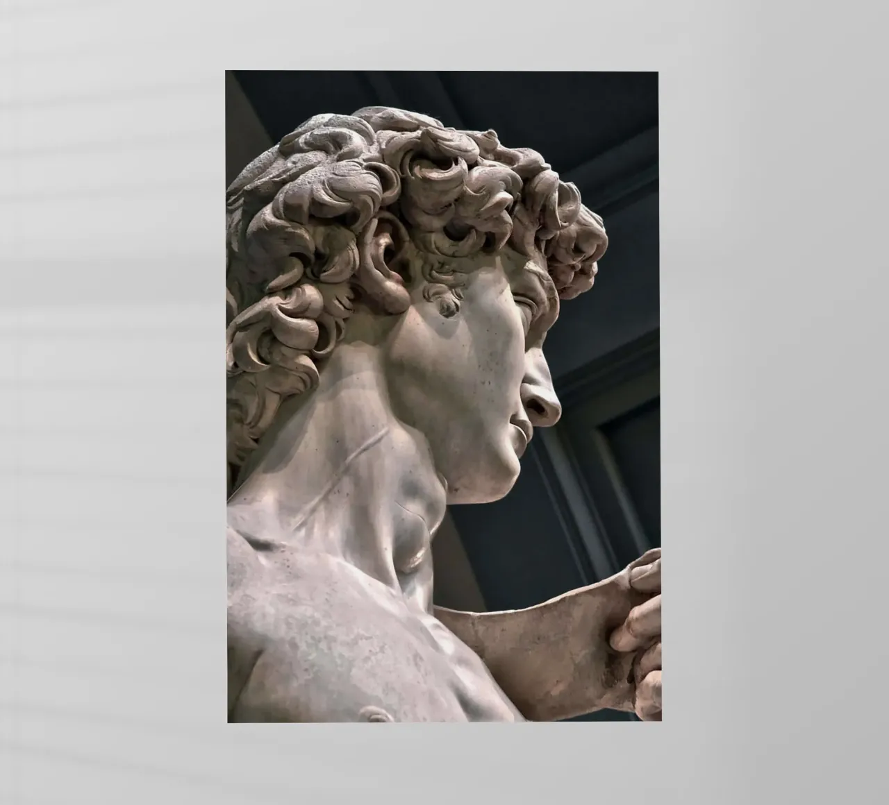 Il David di Michelangelo Arte pellicola backlit da Brooke