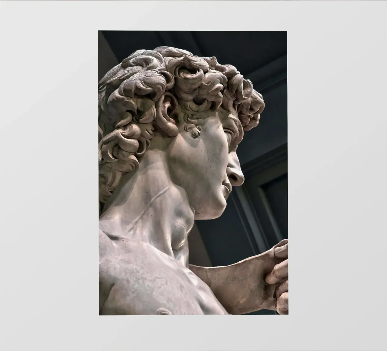 Il David di Michelangelo Arte pellicola backlit da Brooke